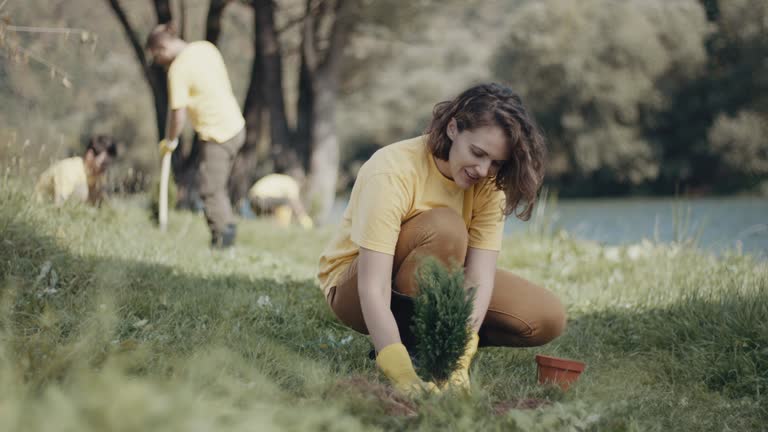 Best Lawn Irrigation Installation and Maintenance  in Inverness, CO